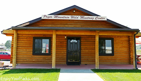 Pryor Mountain Wild Mustang Center, Wyoming