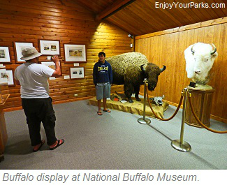National Buffalo Museum, Jamestown North Dakota