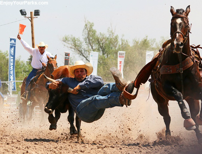 Cody Stampede Rodeo, Cody Wyoming
