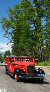 Red Bus, Going To The Sun Road, Glacier National Park