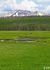 Norris Junction Area, Yellowstone National Park