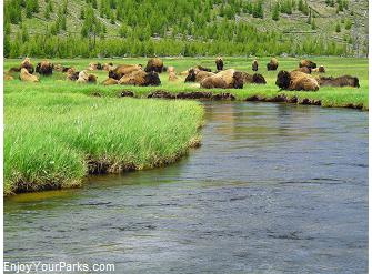Firehole River, Yellowstone National Park