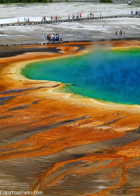 Grand Prismatic Spring,  Midway Geyser Basin, Yellowstone National Park