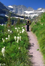 Grinnell Glacier Trail, Glacier National Park