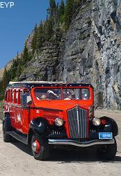 Red Bus, Going To The Sun Road, Glacier National Park