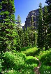 Dawson Pass Trail, Glacier National Park Dawson Pass Trail, Glacier National Park