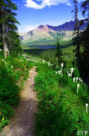 Dawson Pass Trail, Glacier National Park Dawson Pass Trail, Glacier National Park