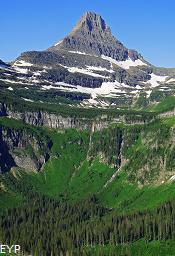 Reynolds Mountain, Going To The Sun Road, Glacier National Park