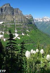 Mount Oberlin, Going To The Sun Road, Glacier National Park