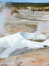 Norris Geyser Area, Norris Junction Area, Yellowstone National Park