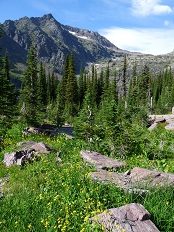 Sperry Glacier Trail, Glacier National Park Sperry Glacier Trail, Glacier National Park