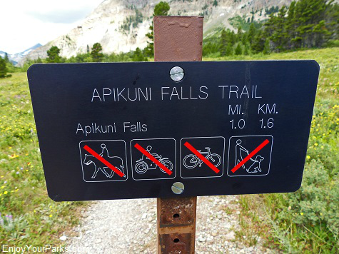 Apikuni Falls Trail, Glacier National Park