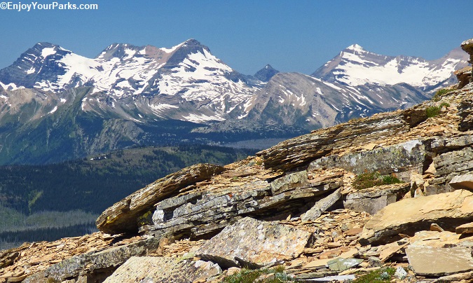 Several of the numerous glaciers found in the Livingston Range of Glacier National Park.
