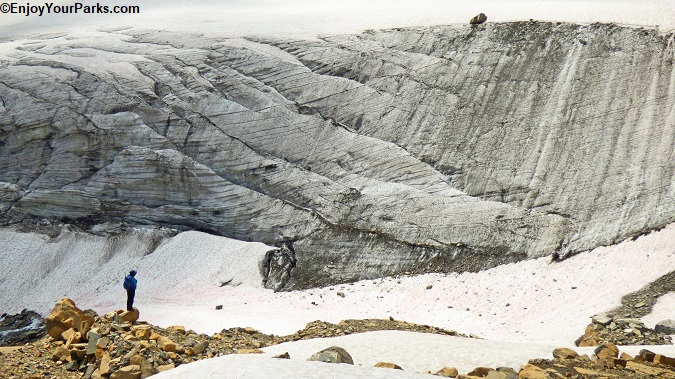 Sexton Glacier near Siyeh Pass Trail, 07/29/18.