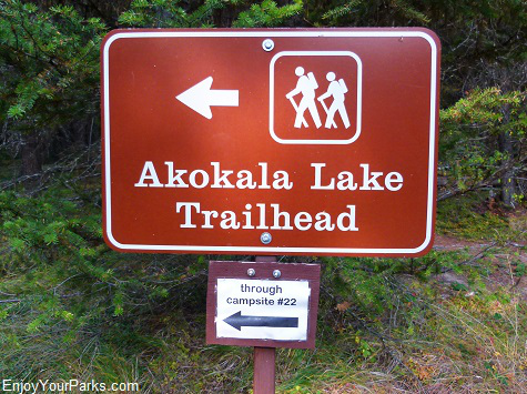 Akokala Lake Trail, Glacier National Park