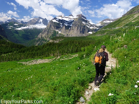 Boulder Pass Trail, Hike to Brown Pass, Glacier National Park