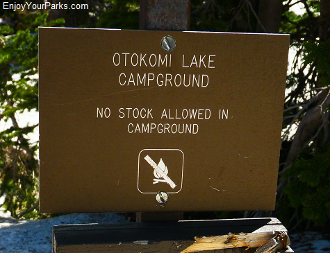 Otokomi Lake Campground, Glacier National Park