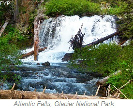 Atlantic Falls, Cut Bank Area, Glacier National Park