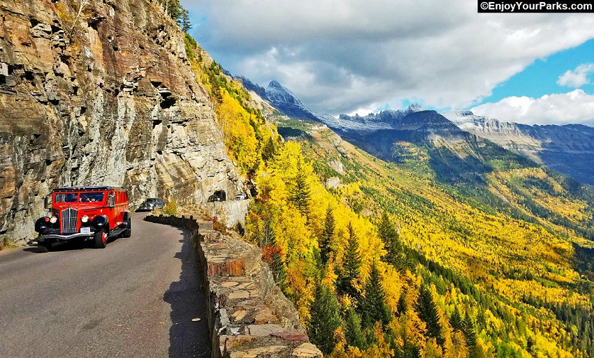Fall Colors on the Going To The Sun Road, Glacier Park