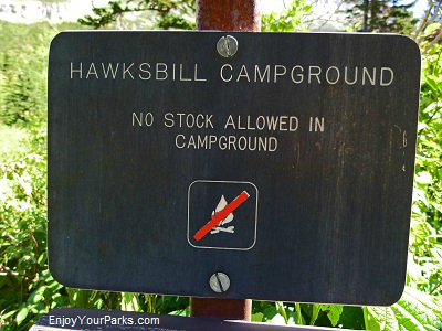 Hawksbill backcountry campground, Glacier Park 