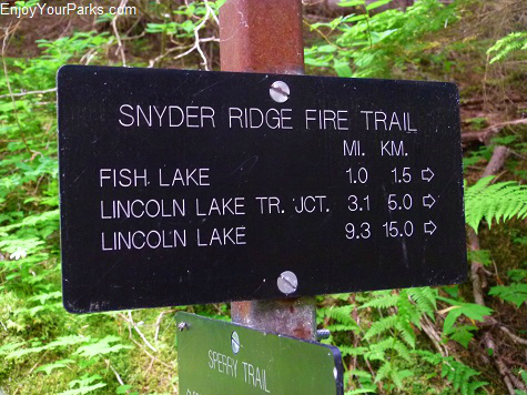 Snyder Ridge Trail, Glacier National Park