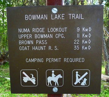 Bowman Lake Trail, Numa Ridge Lookout, Glacier National Park