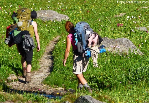 Hikers in short sleaves walking under the sun.