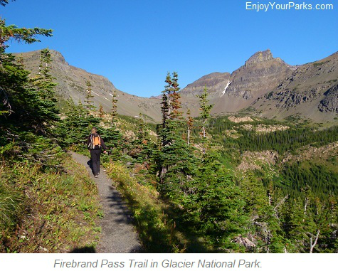 Firebrand Pass Trail, Glacier National Park