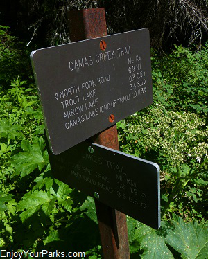 Camas Creek Trail Junction, Trout Lake Trail, Glacier National Park