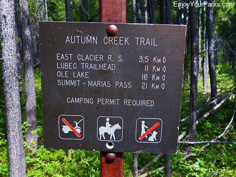 Autumn Creek  Trail, Glacier National Park