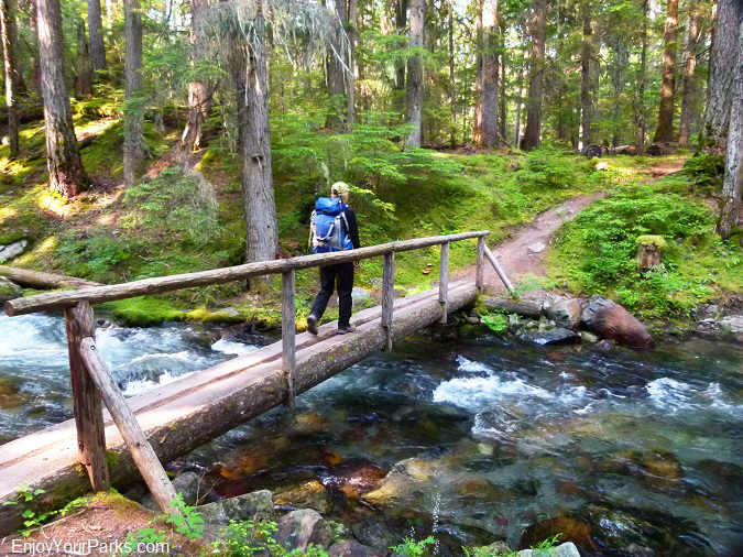 Sprague Creek foot bridge near Fish Lake, Glacier National Park