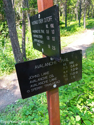 The Johns Lake Loop Trail in Glacier Park takes you through a beautiful cedar and hemlock forest.