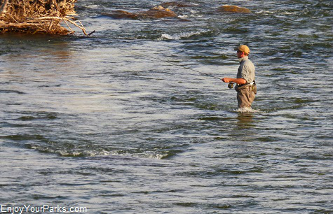 Fly fisherman, Madison River Valley Montana