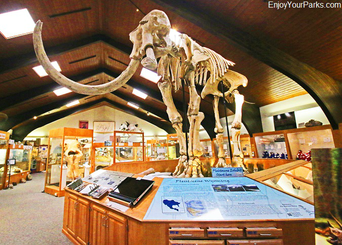 Mammoth, Tate Geological Museum in Casper, Wyoming