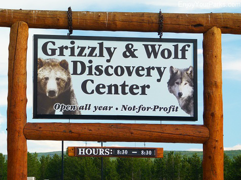 Grizzly & Wolf Discovery Center, West Yellowstone Montana, Yellowstone National Park