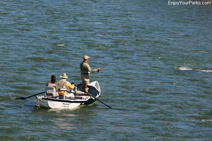 Fly fisherman, Paradise Valley Montana