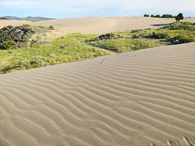 The St. Anthony Sand Dunes are extremely scenic as well as fun.
