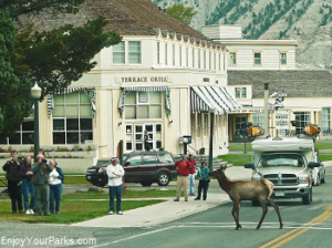 Mammoth Hot Springs Hotel, Yellowstone Park Lodging Accommodations