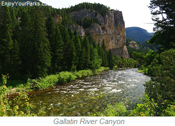Gallatin River Canyon, Montana