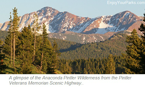 Anacona-Pintler Wilderness, Montana