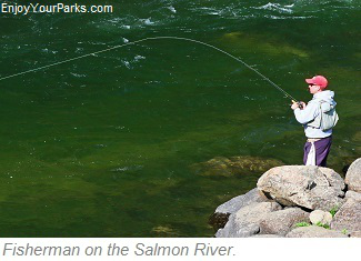 Fly fisherman, Salmon River
