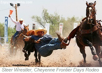Steer Wrestler, Cheyenne Frontier Days Rodeo