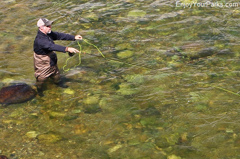 Fy fisherman on the Gallatin River Montana