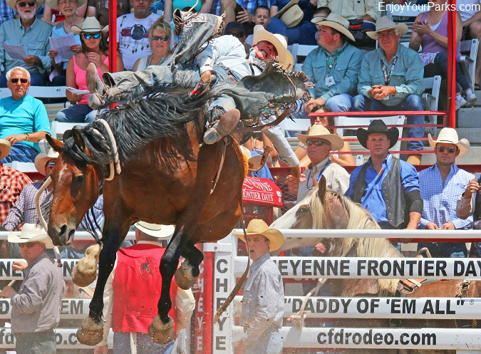 Cowboy riding a bucking bronco at Cheyenne Frontier Days Rodeo.