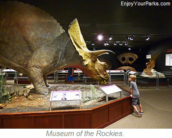 Museum of the Rockies, Montana