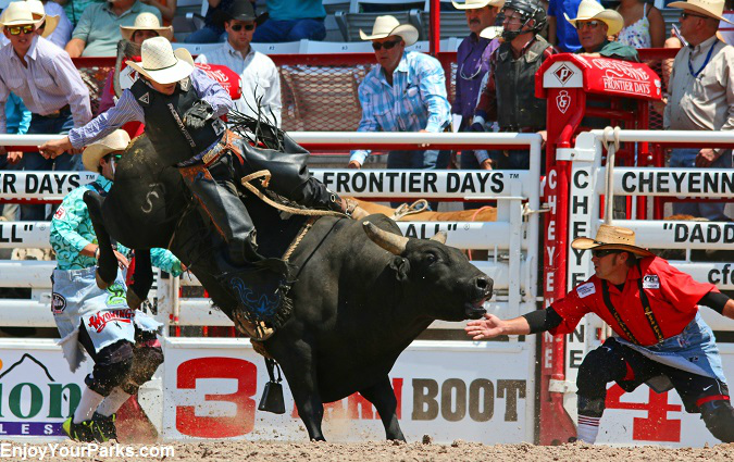 Bull rider at the Cheyenne Frontier Days Rodeo