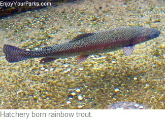 Hagerman National Fish Hatchery, Thousand Springs Scenic Byway, Idaho