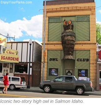 Iconic two-story high owl in Salmon Idaho.