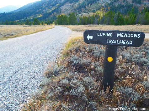 Lupine Meadows, Grand Teton National Park