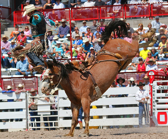 Bull rider being thrown from a bull at the Cheyenne Frontier Days Rodeo
